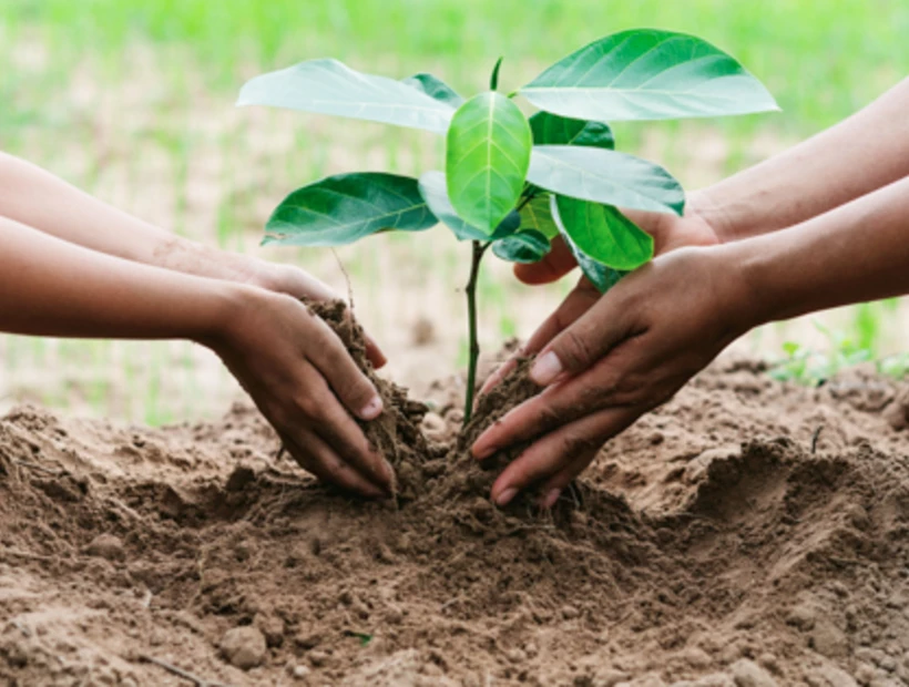 Gestionnaire en management environnemental