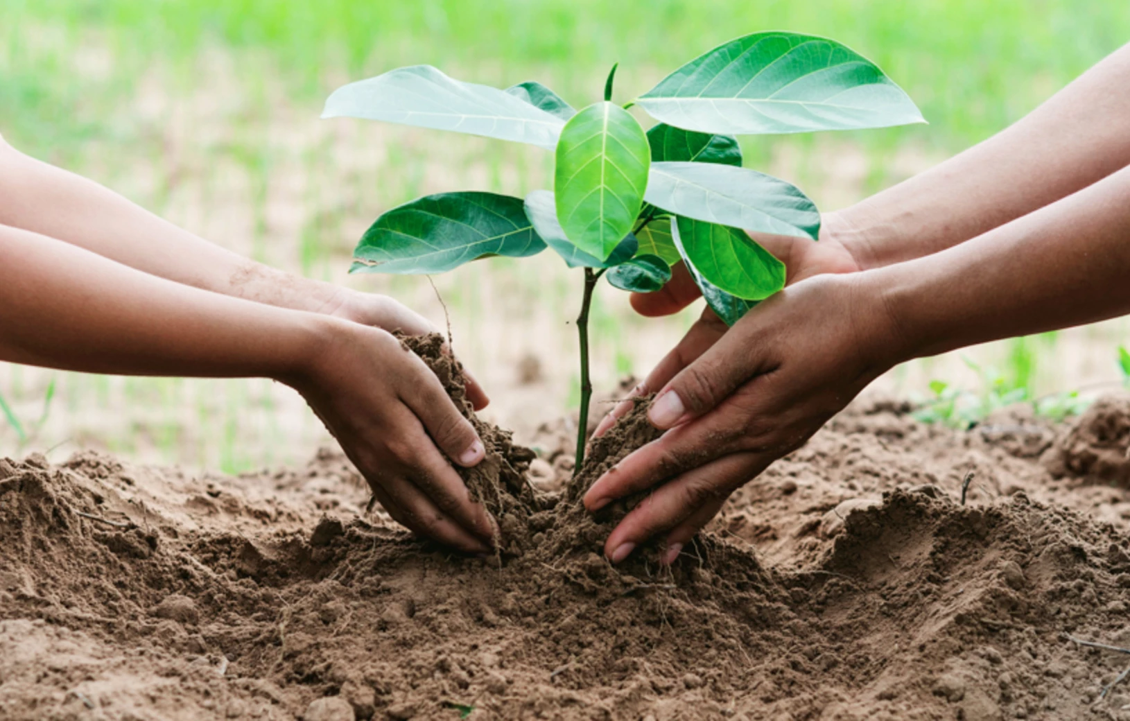Gestionnaire en management environnemental